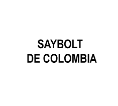 SAYBOLT